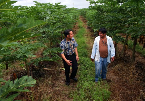 Organic Farming Practices for Oahu Farms