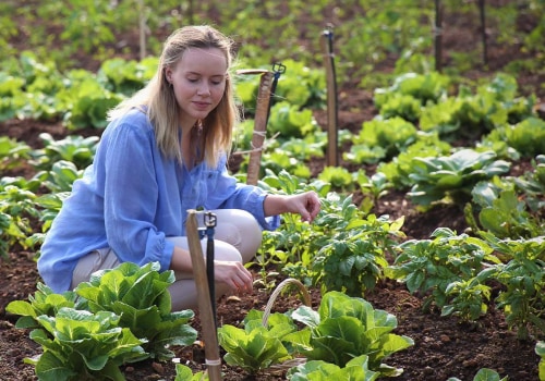 Organic Farming in Oahu: Types of Pesticides and Fertilizers Used