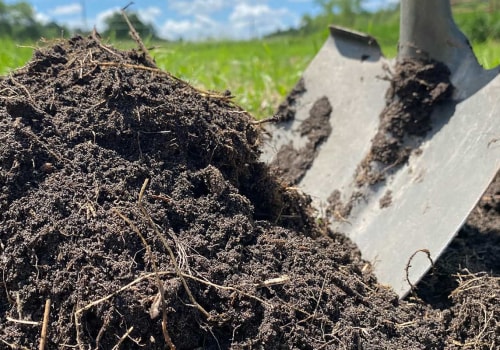 Organic Soil Amendments for Sustainable Farming in Oahu: A Guide for Agronomists and Agricultural Producers